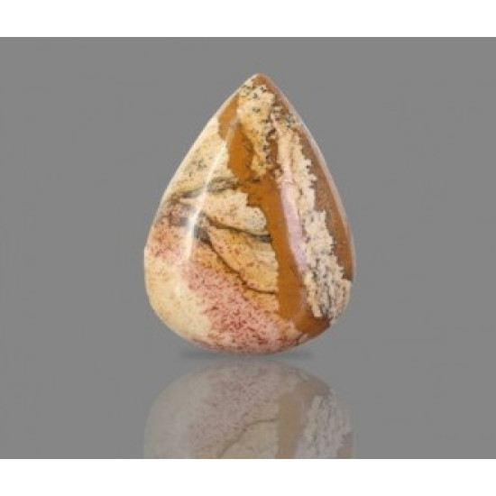 Picture Jasper 29.68 Carat