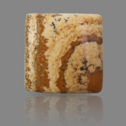 Picture Jasper 23.67  Carat