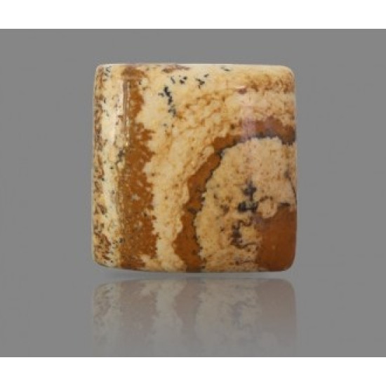 Picture Jasper 23.67  Carat