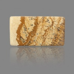 Picture Jasper 32.82 Carat