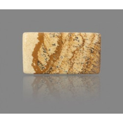Picture Jasper 32.82 Carat