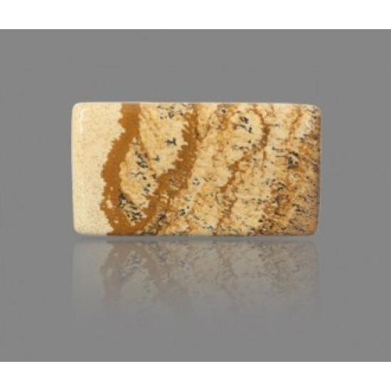 Picture Jasper 32.82 Carat