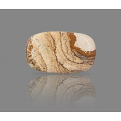 Picture Jasper 28.96 Carat