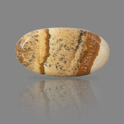 Picture Jasper 26.16 Carat