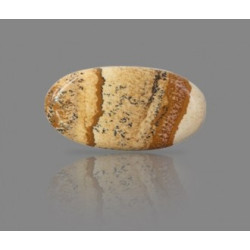 Picture Jasper 26.16 Carat