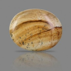 Picture Jasper 42.33 Carat