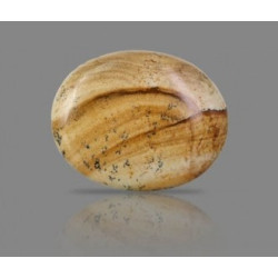Picture Jasper 42.33 Carat