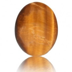 Tiger Eye Stone 11.25 Carat