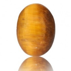 Tiger Eye Stone 16.90 Carat