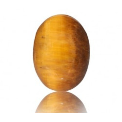 Tiger Eye Stone 16.90 Carat