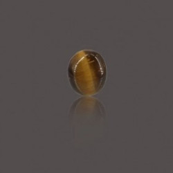 Tiger Eye Stone 16.80 Carat