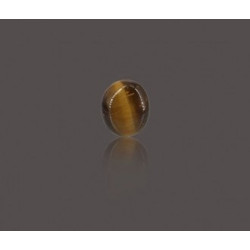 Tiger Eye Stone 16.80 Carat