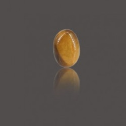 Tiger Eye Stone 16.84 Carat