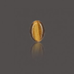 Tiger Eye Stone 18.99 Carat
