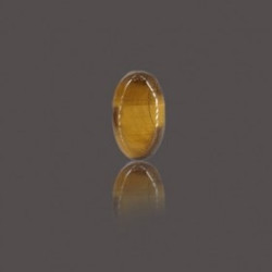 Tiger Eye Stone 25.32 Carat
