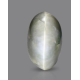 Black Quartz Cat's Eye 9.93 Carats
