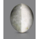 Black Quartz Cat's Eye 9.12 Carats