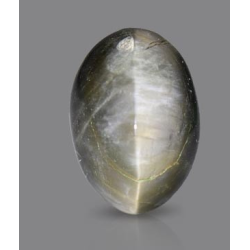 Black Quartz Cat's Eye 7.73 Carats