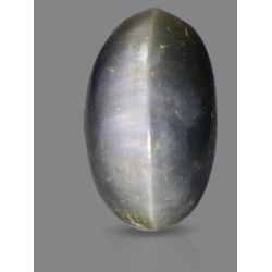 Black Quartz Cat's Eye 13.39 Carats
