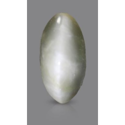 Black Quartz Cat's Eye 5.82 Carats