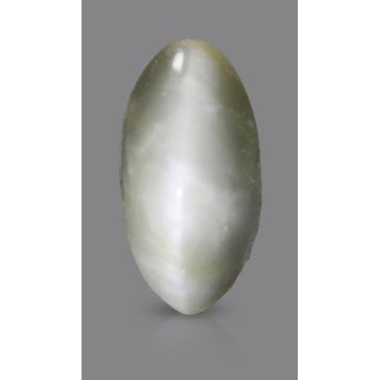 Black Quartz Cat's Eye 5.82 Carats