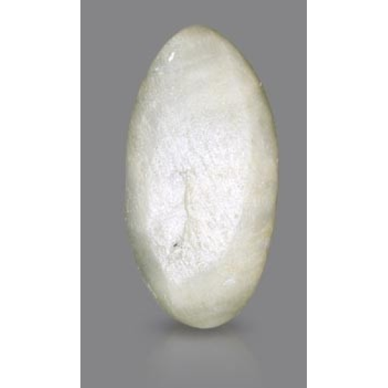 Black Quartz Cat's Eye 5.82 Carats