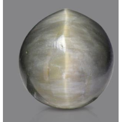 Black Quartz Cat's Eye 10.89 Carats