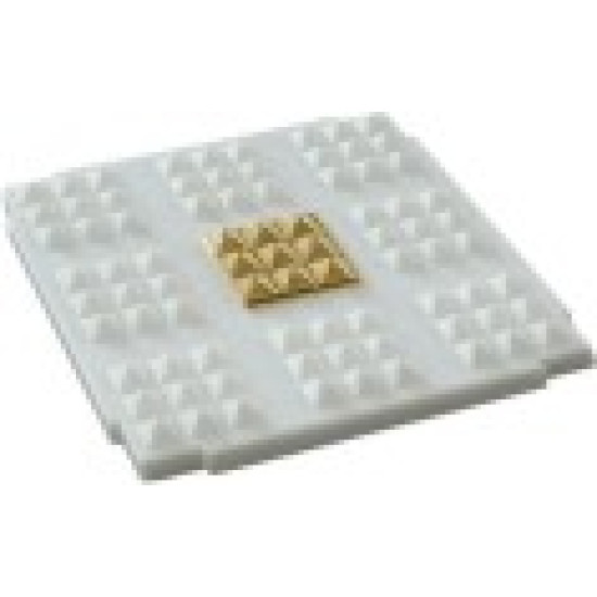 Fortune Chip (Fortune Chip)