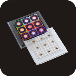 Divine Aum 9x9 (Divine Aum 9x9)