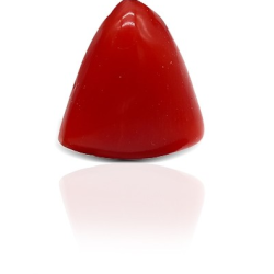Italian Red Coral