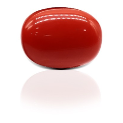 Red Coral Gemstone 15.35 carat