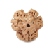 Natural Nepali 3 Mukhi Rudraksha