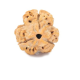 Natural Nepali 3 Mukhi Rudraksha