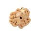 Natural Nepali 3 Mukhi Rudraksha