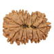 15 Mukhi Rudraksha 23 mm