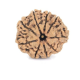 Natural Nepali 9 Mukhi Rudraksha