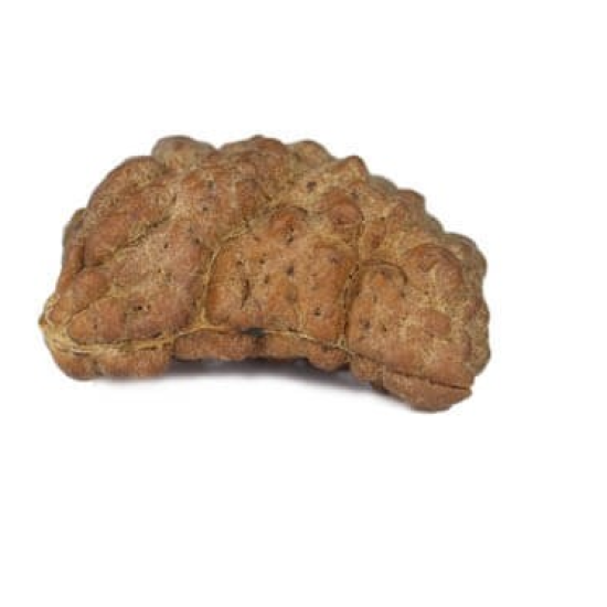 Natural 1 Mukhi Rudraksha