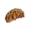 Natural 1 Mukhi Rudraksha