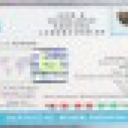 Natural 1 Mukhi Rudraksha