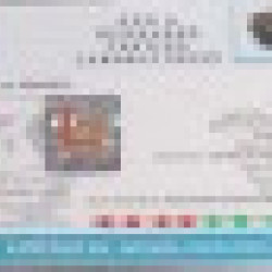 Natural 1 Mukhi Rudraksha