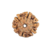 Natural Nepali 6 Mukhi Rudraksha