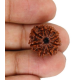 Natural 8 Mukhi Rudraksha