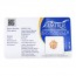 1 Mukhi Under Developed Rudraksha 19 MM