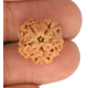 1 Mukhi Under Developed Rudraksha 16 MM