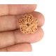1 Mukhi Under Developed Rudraksha 18 MM