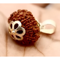 Natural Nepali 13 Mukhi Rudraksha