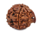Natural Ganesha Rudraksha 