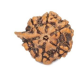 Natural Ganesha Rudraksha